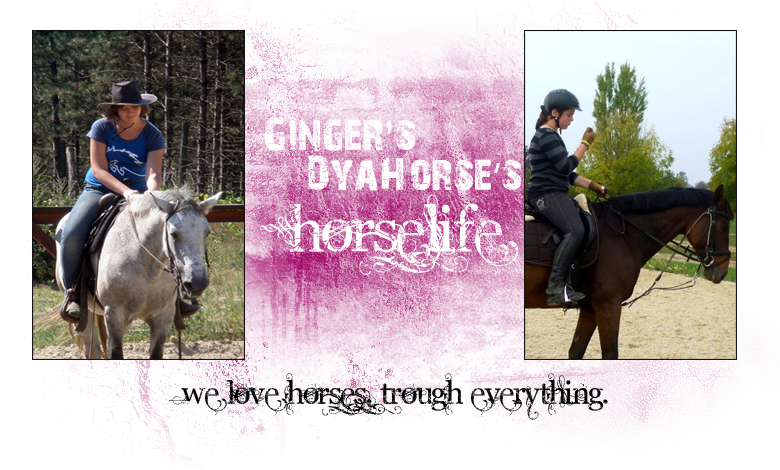 Ginger's and Dyahorse's horselife ~